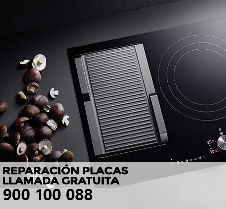 Reparación averías placa de cocción Ansonic